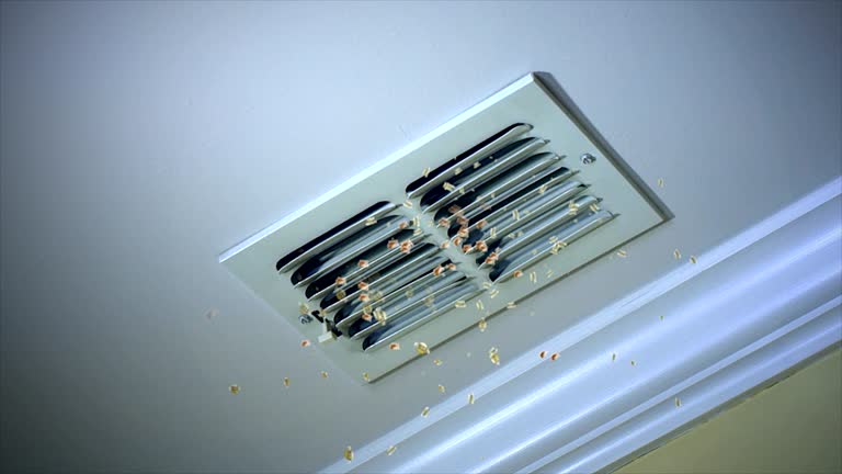Best HVAC Air Duct Cleaning  in Heber, CA